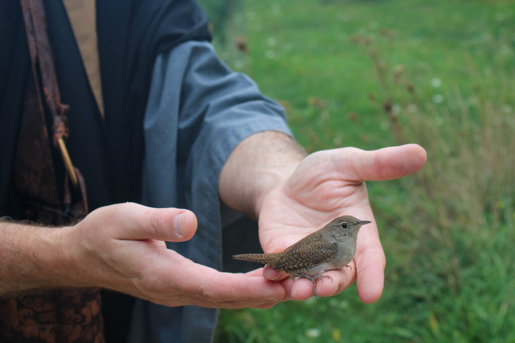Person holds small bird.