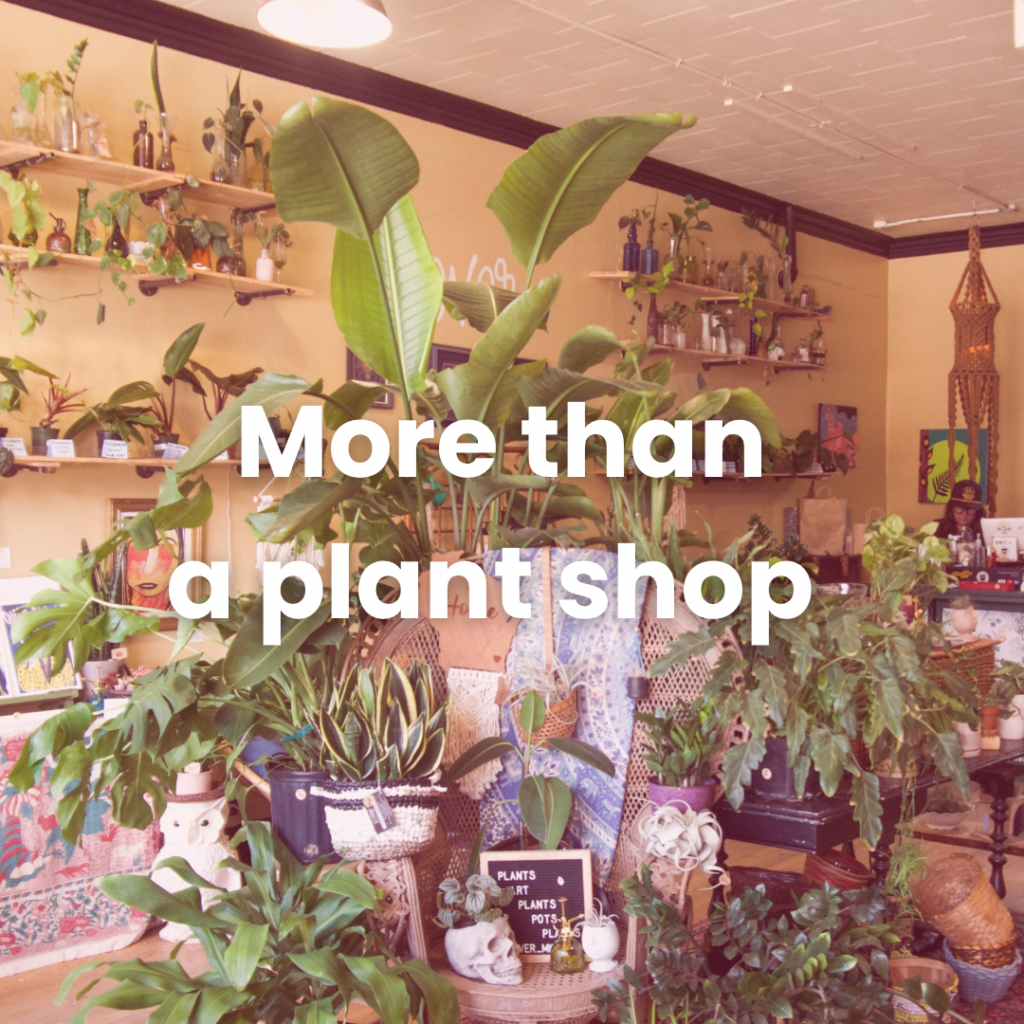 More than a plant shop