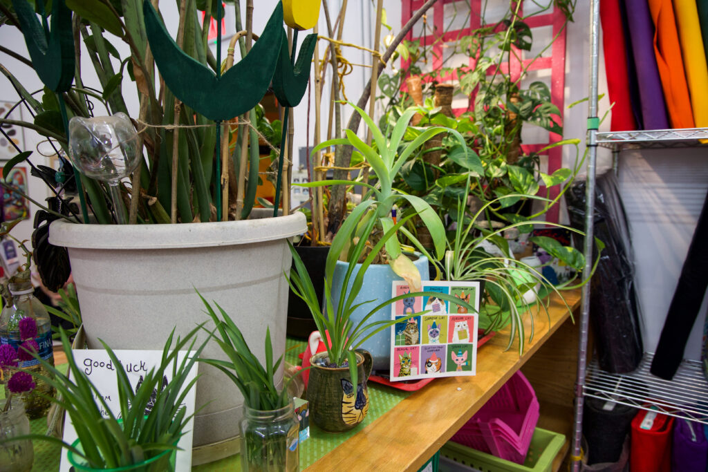 A shelf with lots of plants and cat references. 