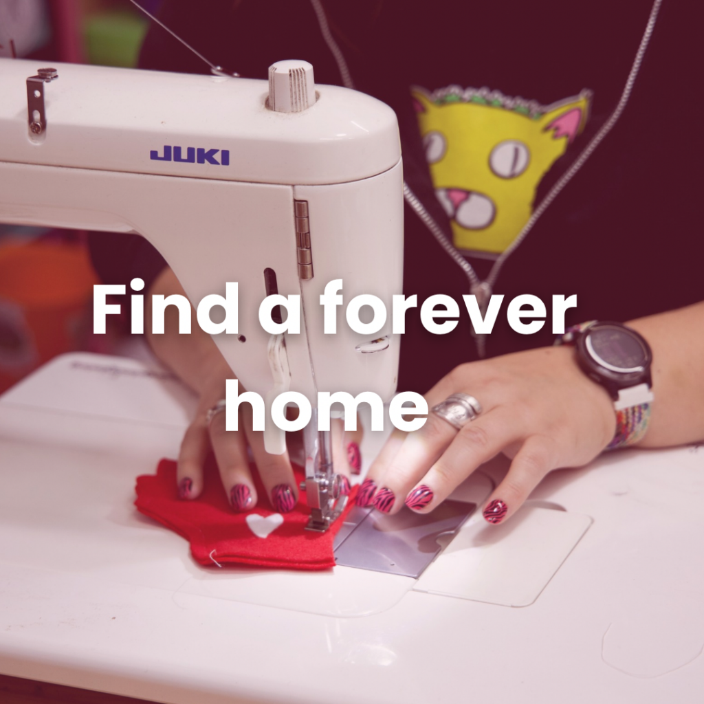 Find a forever home