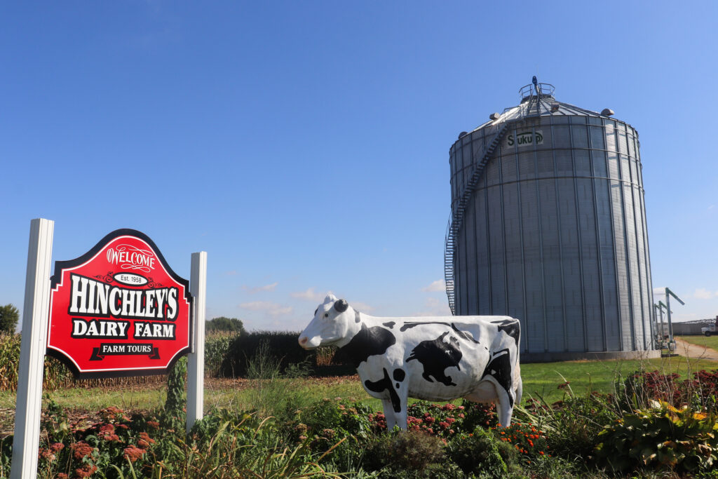 Sign that says "Welcome to Hinchley's Dairy Farm" sits next to a statue of a cow in front of a silo.