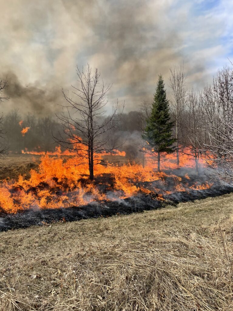 Large fire on a field. 