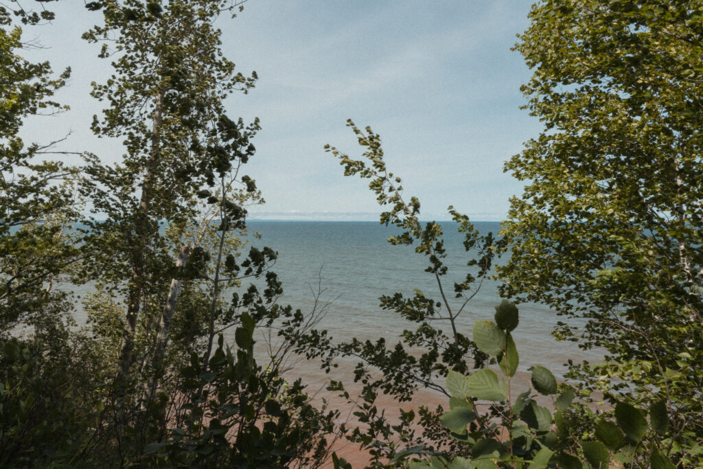 An opening in among trees to a lake.