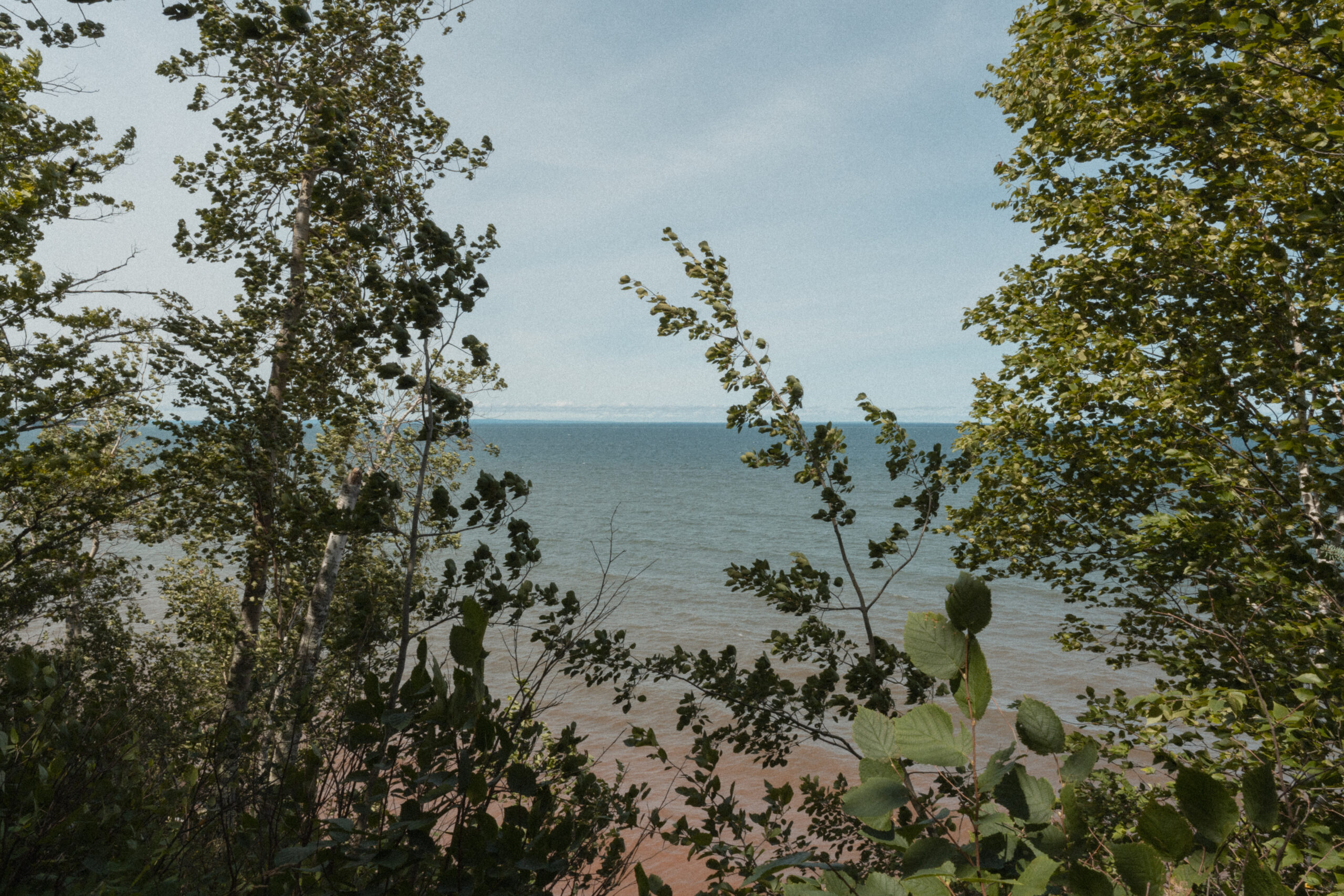 An opening in among trees to a lake.