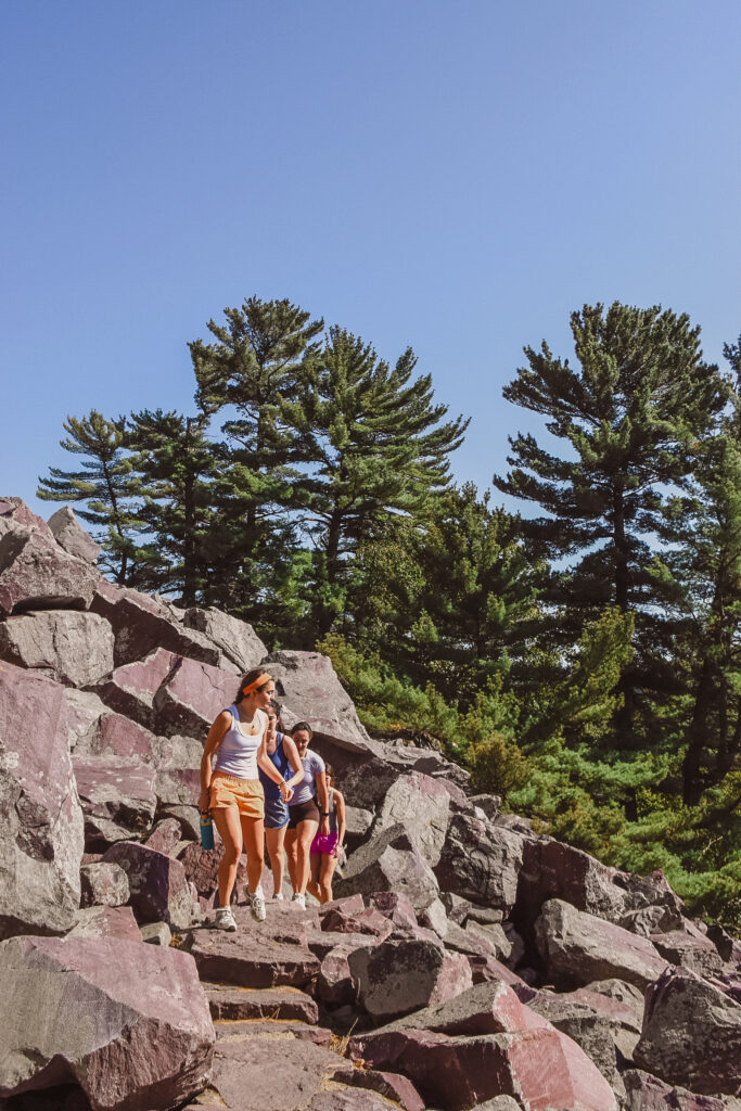 Hikers walking on rocky terrain among pine trees.