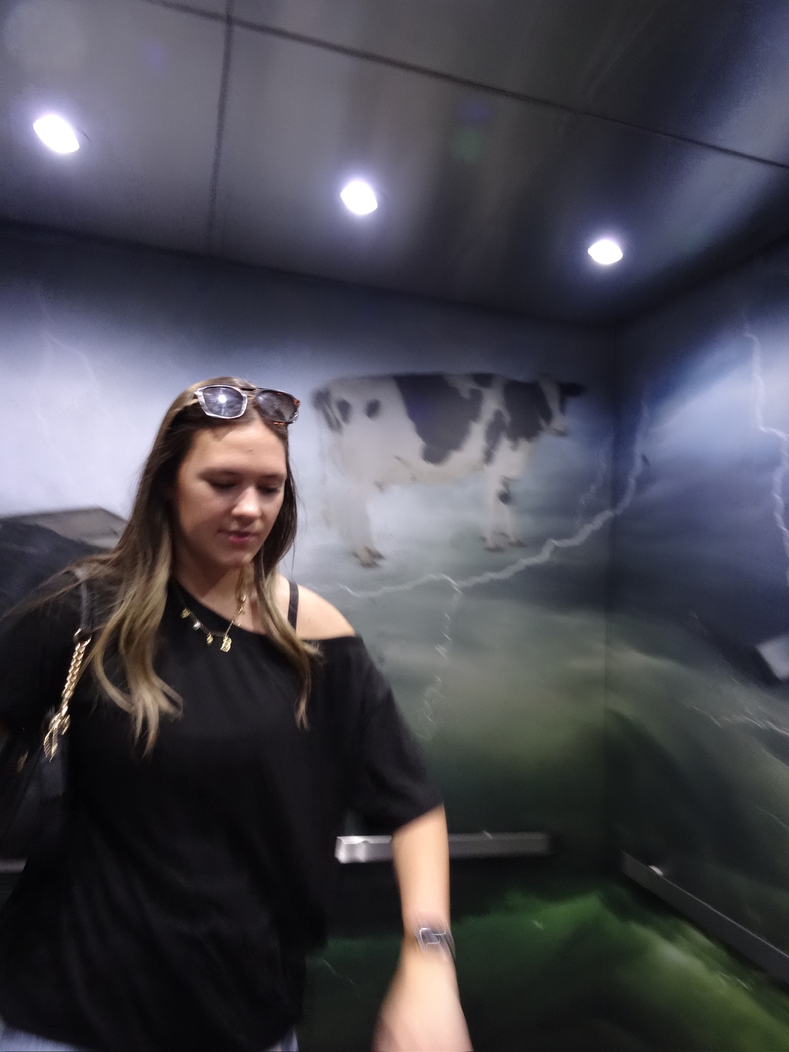 A cow swept up by a tornado is painted on the elevator walls.