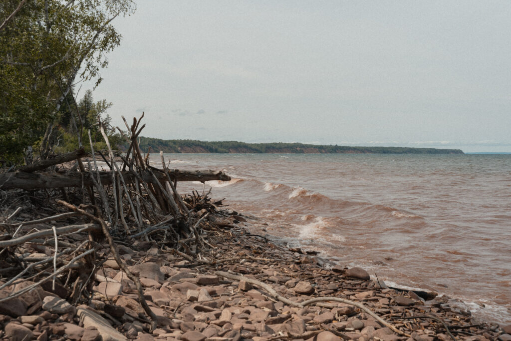muddy water on the shoreline