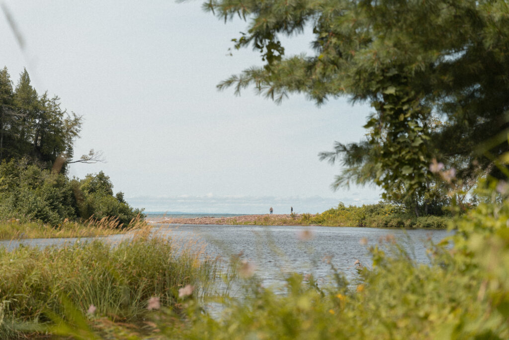 wooded area clears to a body of water