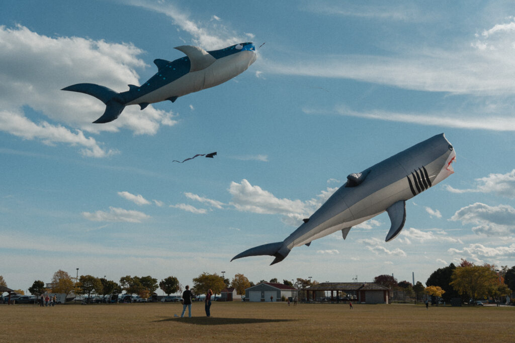 shark kites flying above people in a field