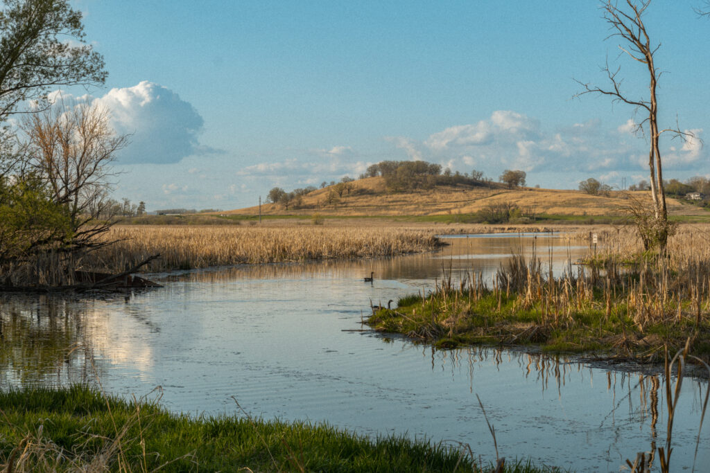 scenic view of a stream