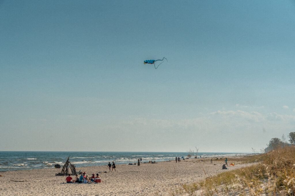Beach with kits flying overhead
